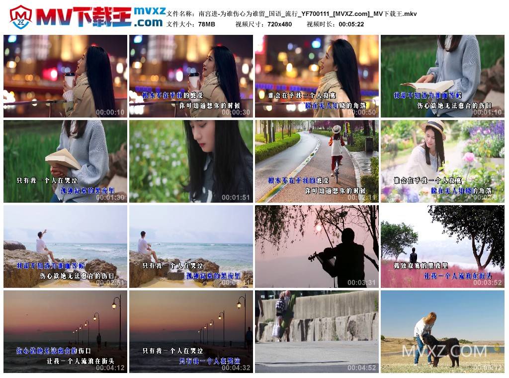 南宫进-为谁伤心为谁留_国语_流行_YF700111